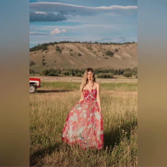 HUTCH Corene Pleated Strapless Mesh Gown - Picture 3 of 7